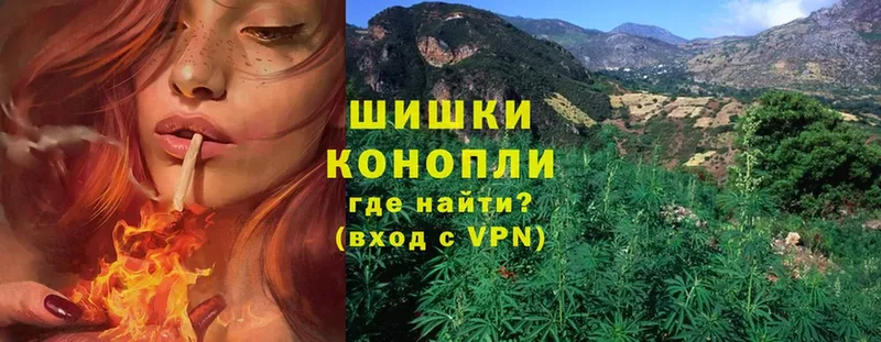 купить наркоту  Кувшиново  Шишки марихуана THC 21% 